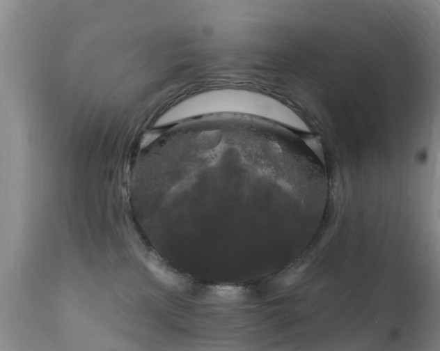 X0000112420233200908211153