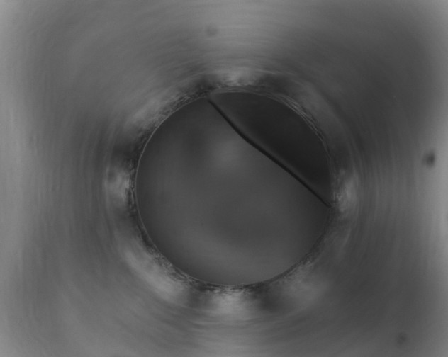 X0000112420235200908211153