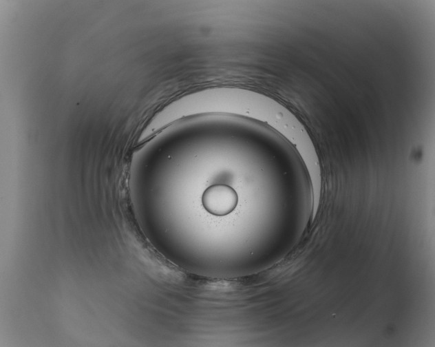 X0000112420237200908211153