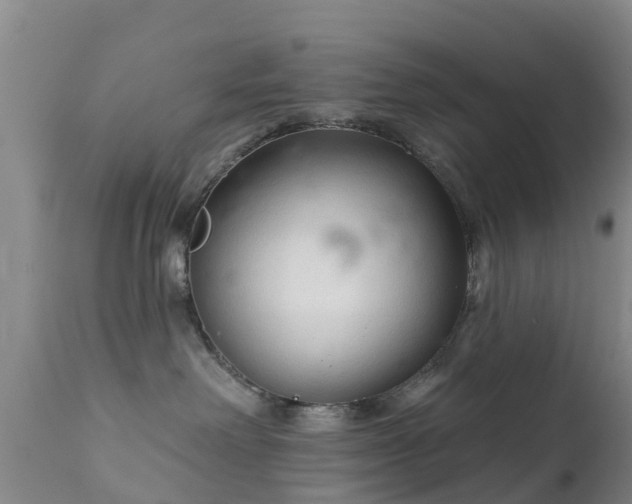 X0000112420238200908211153