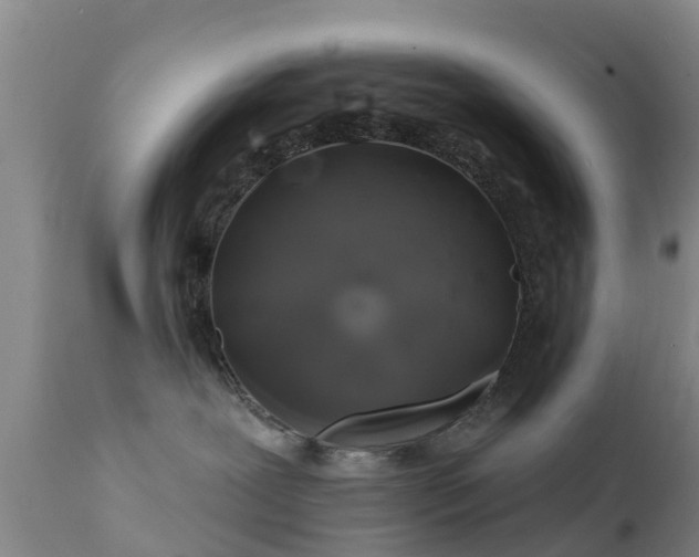 X0000112420239200908211153