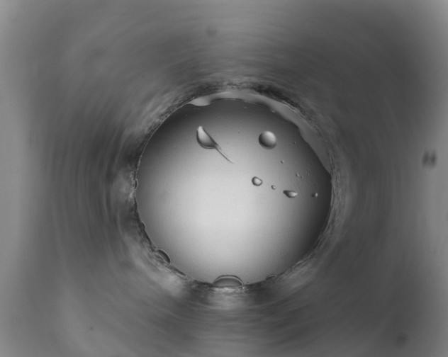 X0000112420240200908211153