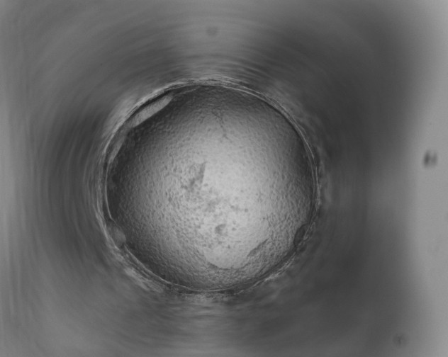 X0000112420241200908211152