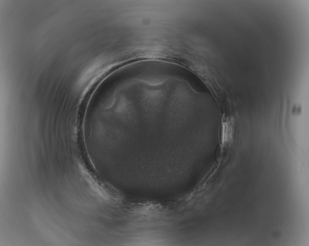 X0000112420243200908211152