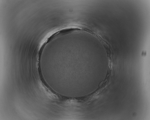 X0000112420244200908211152