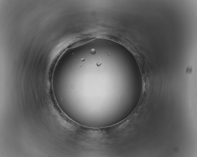 X0000112420245200908211152