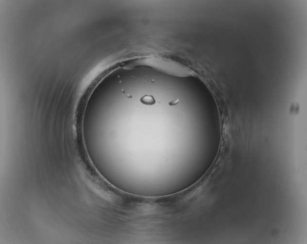 X0000112420246200908211152