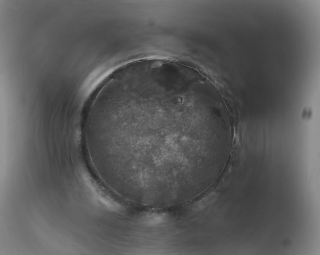 X0000112420247200908211152