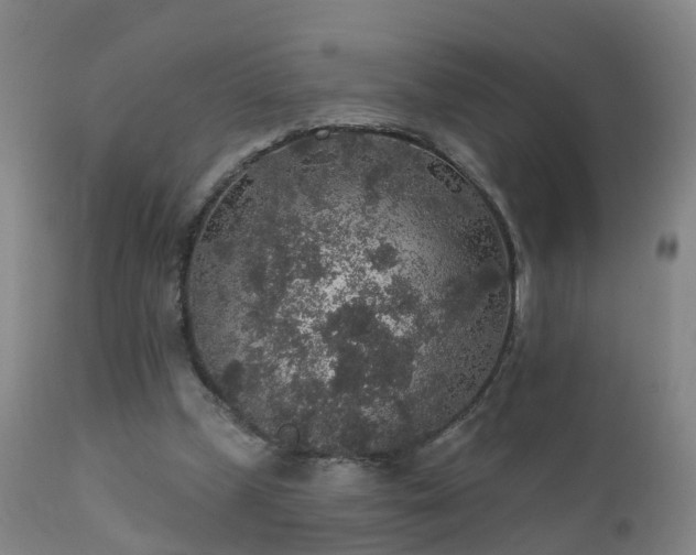 X0000112420249200908211152