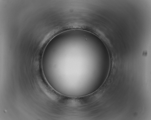 X0000112420250200908211152