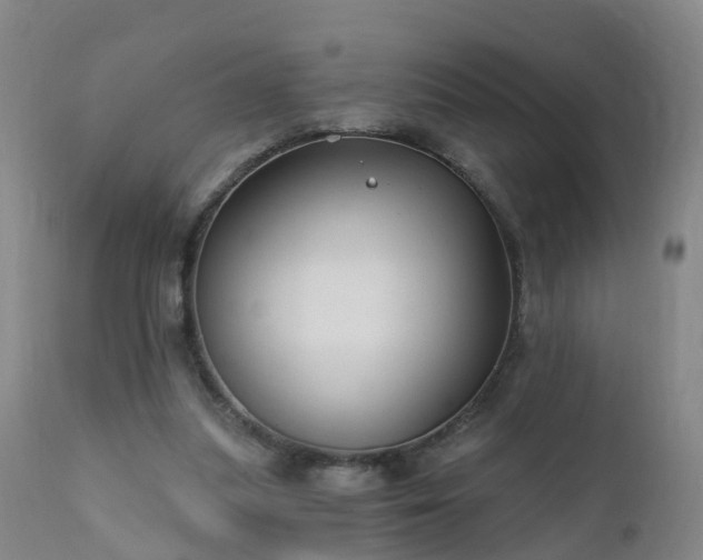 X0000112420251200908211152