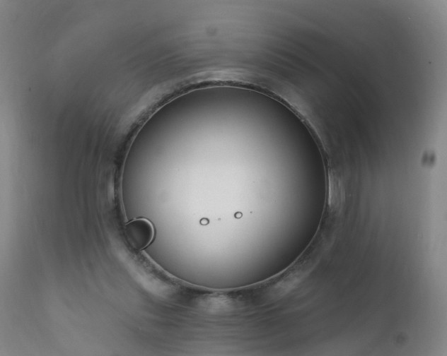 X0000112420253200908211152