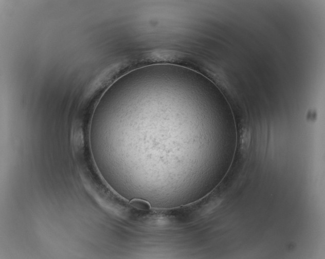 X0000112420254200908211152