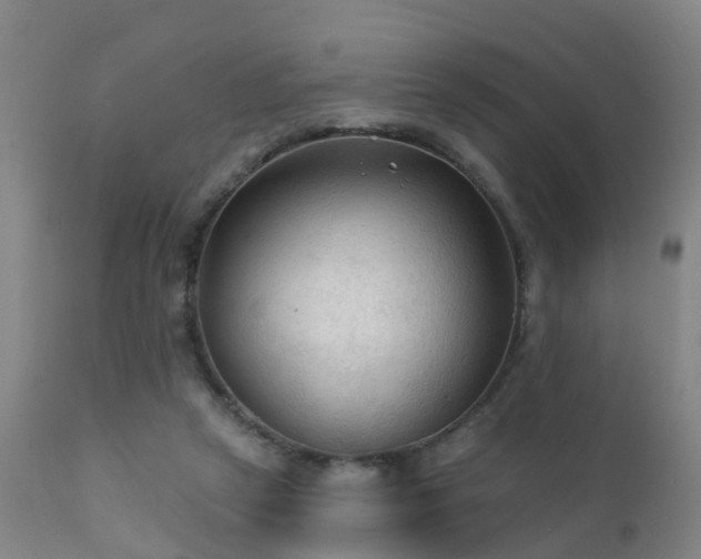 X0000112420257200908211152