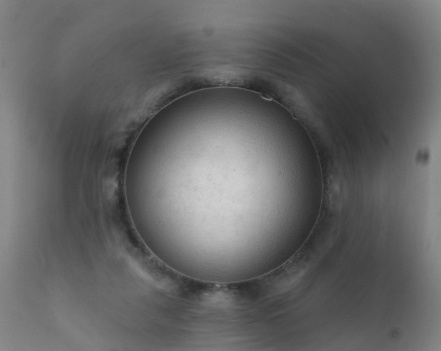 X0000112420259200908211152