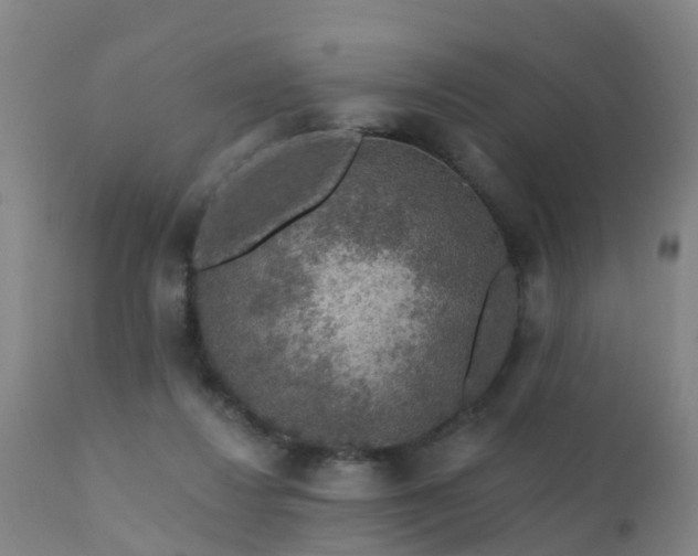 X0000112420260200908211152