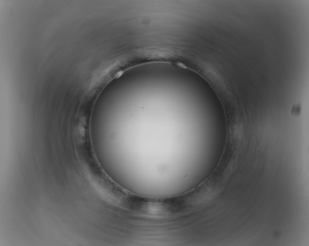 X0000112420264200908211152