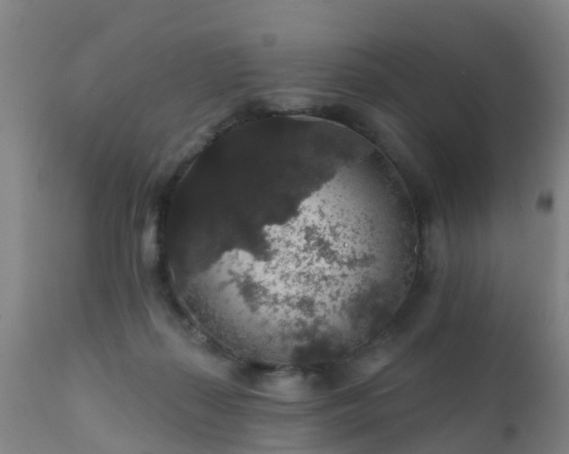 X0000112420267200908211152