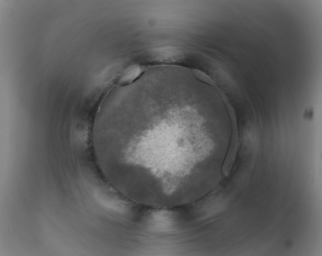 X0000112420268200908211152