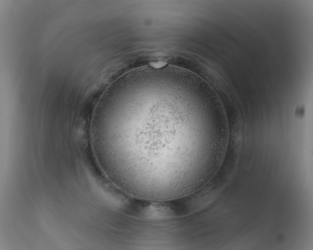 X0000112420270200908211152