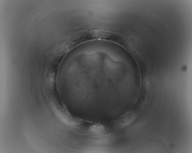 X0000112420271200908211152