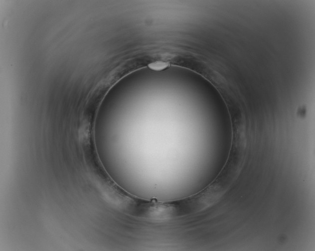 X0000112420274200908211153