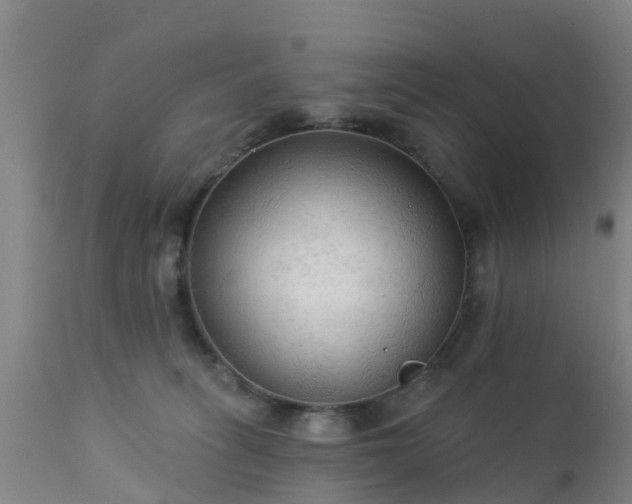 X0000112420275200908211153