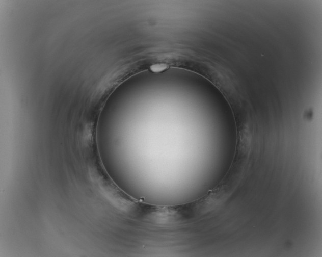 X0000112420278200908211153