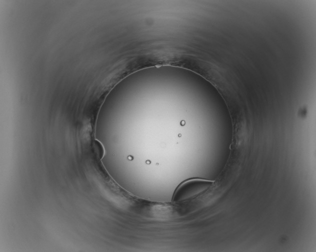 X0000112420279200908211153