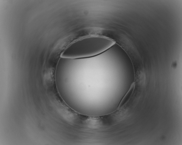 X0000112420280200908211153