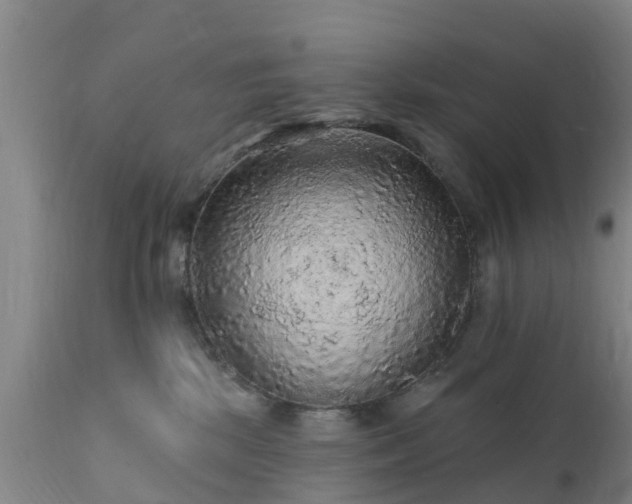 X0000112420281200908211153