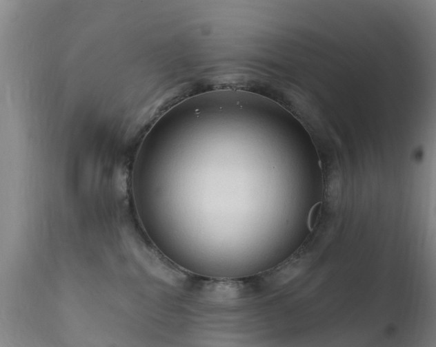 X0000112420282200908211153