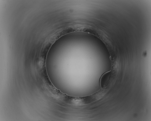 X0000112420283200908211153