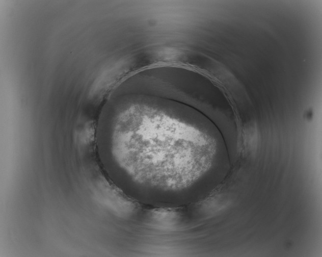 X0000112420284200908211153