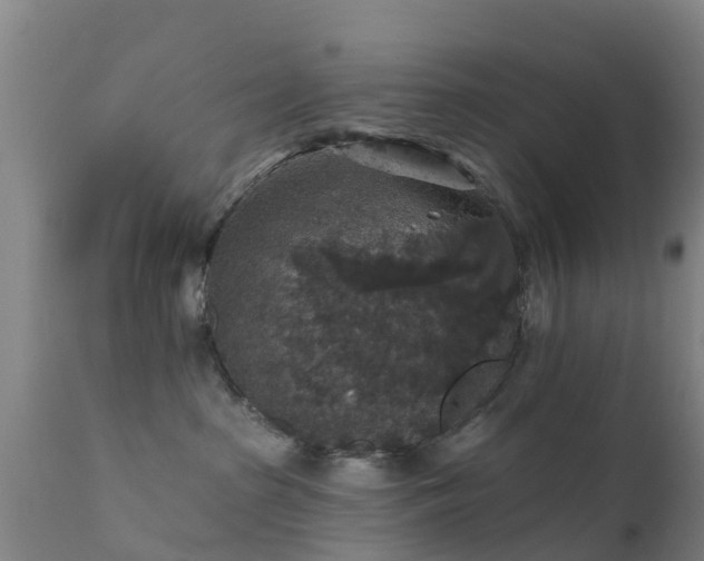 X0000112420285200908211153