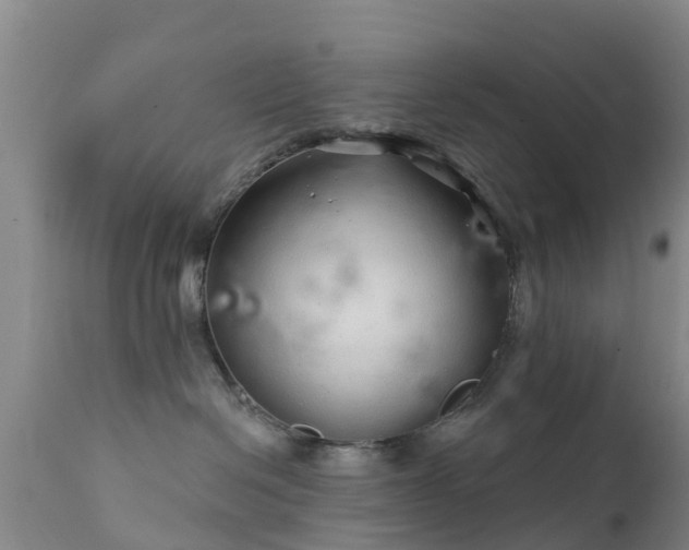 X0000112420286200908211153