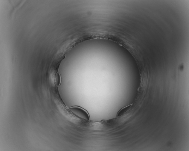 X0000112420287200908211153