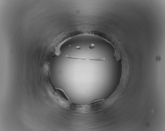 X0000112420288200908211153