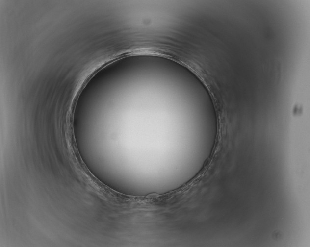 X0000112420289200908211152