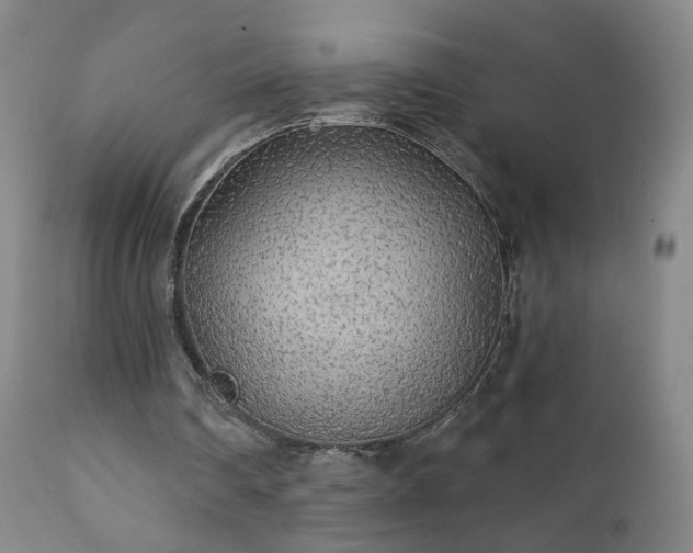 X0000112420290200908211152