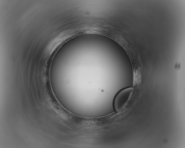 X0000112420291200908211152