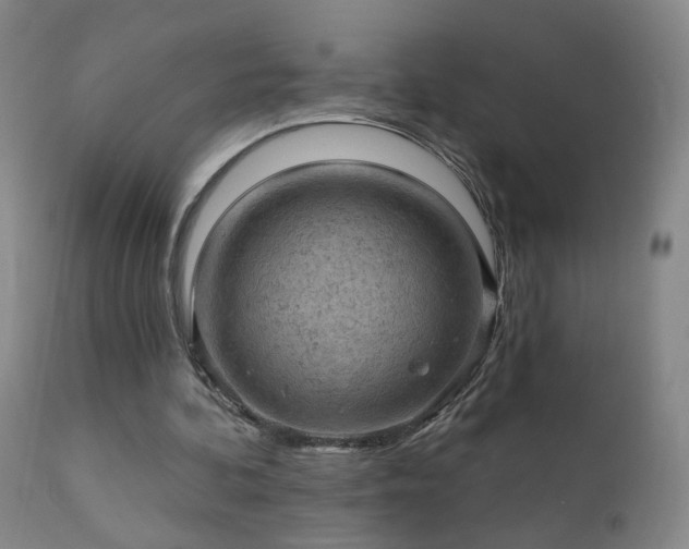 X0000112420292200908211152