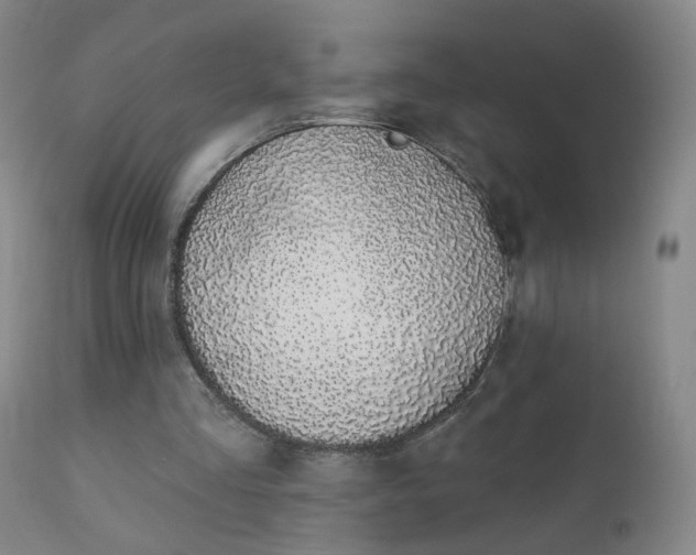 X0000112420293200908211152