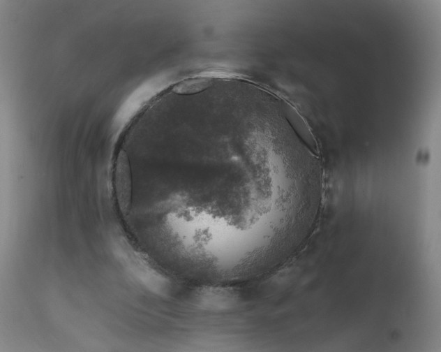 X0000112420296200908211152