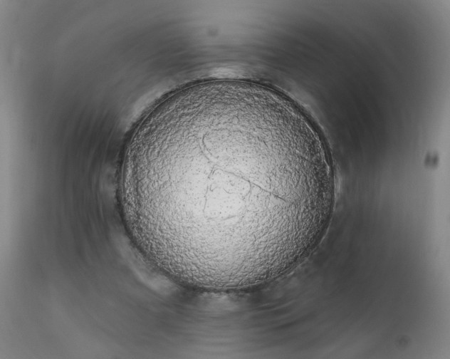 X0000112420297200908211152