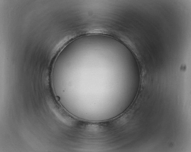 X0000112420298200908211152