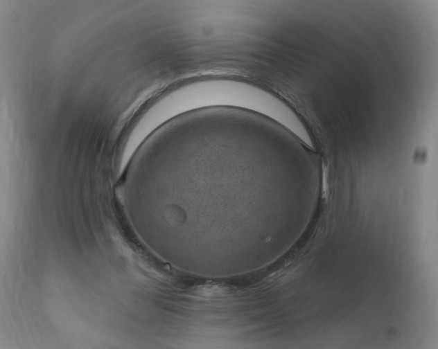 X0000112420300200908211152