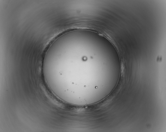 X0000112420301200908211152