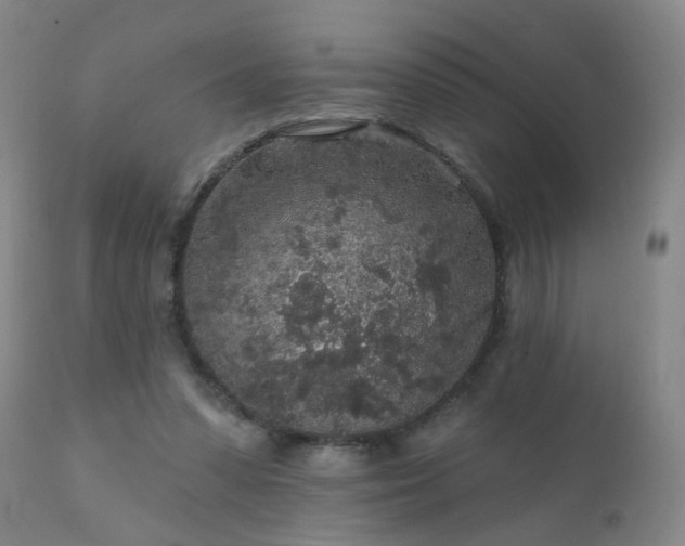 X0000112420303200908211152