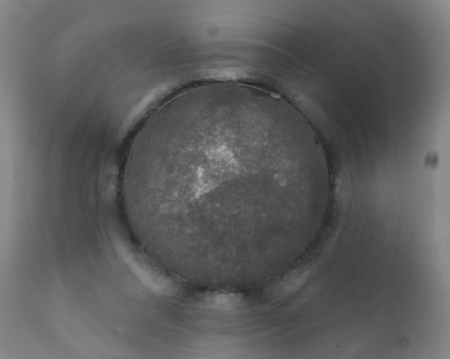 X0000112420304200908211152